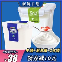 TERUN 天润 特浓4斤天润益家老酸奶2kg生鲜牛乳85%大桶装新疆特产