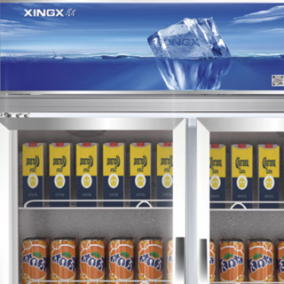 XINGX 星星 518升 双门冷藏展示柜 商用冷柜冰柜保鲜柜 啤酒饮料陈列柜 LSC-500K