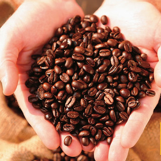 Nicola 尼可拉 葡萄牙进口纯黑咖啡豆 250g
