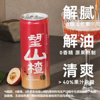 HOPE WATER 好望水 望山楂气泡水气泡果汁饮品旗舰店健康饮料整箱铝罐330ml