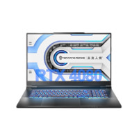 TERRANS FORCE 未来人类 地球人系列 X911 十三代酷睿版 17.3英寸 游戏本 黑色(酷睿i9-13900HX、RTX 4080 12G、32GB、2TB SSD、4K、IPS、144Hz、X911-4080-S9322)