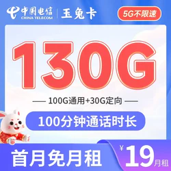 CHINA TELECOM 中国电信 长期玉兔卡 19元月租（130G全国流量+100分钟通话）激活送30元 长期套餐