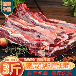 新鲜牛腩肉 黄牛牛腩肉1500g