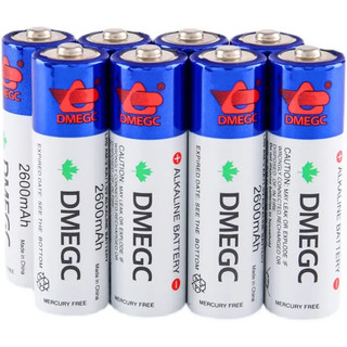 DMEGC 5号电池2600毫安LR6指纹智能密码电子门锁专用电池七号AAA鱼跃电子血压计血糖仪原装 DMEGC原装5号电池