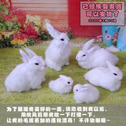 Max Factory 仿真动物小白兔子假兔子仿真兔子模型毛绒兔子桌面摆件生肖兔