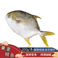 MPDQ 深海冷冻金鲳鱼袋装扁平鱼昌鱼海鲜水产 550g/袋