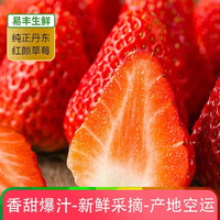 丹东99红颜红颜奶油草莓甄选大果无农残新鲜水果东港产地现摘空运 约3斤(单果20g以上)