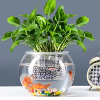 易萌 桌面鱼缸 小型 创意 圆形玻璃鱼缸 家用客厅 玻璃花盆绿萝花盆15cm