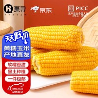 惠寻 京东自有品牌 黄糯鲜食糯玉米240g*8根 东北玉米真空装 （低脂）