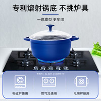 bluediamond蓝钻 陶瓷进口钻石专利技术微压锅家用煲汤锅养生锅 26cm微压锅