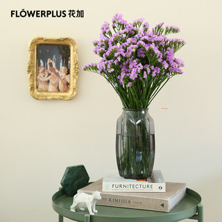 FlowerPlus 花加 勿忘我300G-随机色