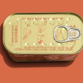 SHEN XIAO SHAN 沈小善 鸡肉午餐肉罐头 黑胡椒味 198g*2罐