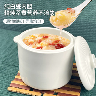 DAEWOO 大宇 电炖盅隔水炖锅家用煲汤电炖锅煮粥神器燕窝辅食小型陶瓷炖盅