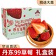 玖玖农场 丹东99草莓2斤礼盒装丹东草莓新鲜东港九九红颜