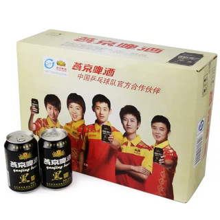 YANJING BEER 燕京啤酒 黑啤 330ml*24听