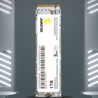 GLOWAY 光威 弈系列 NVMe协议 M.2 固态硬盘 PCI-E 4.0
2T TLC颗粒