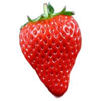 美得乐 红颜草莓 单果12g 400g