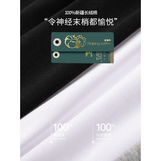 七匹狼 V领100%新疆棉 七匹狼t恤男短袖夏季纯棉  XL/175(建议体重130-150斤)