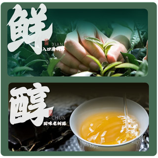 卢正浩 2023新茶预售卢正浩明前龙井茶特选茶叶绿茶春茶