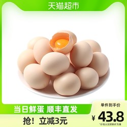 yan garden 燕域田园 鸡蛋初生蛋40枚1.6KG新鲜土鸡蛋散养谷物喂养草柴笨营养