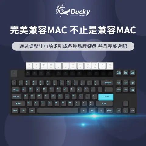 Ducky 吉利鸭 KBDucky） ZERO经典黑 德国进口 cherry樱桃轴 游戏键盘 机械键盘 经典黑87静音红轴