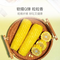 YANXUAN 网易严选 锁鲜代餐，鲜食玉米