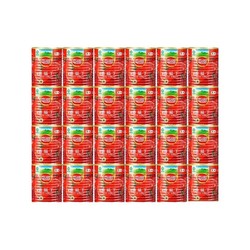 屯河 新疆内蒙番茄丁24罐*390g0添加剂新鲜番茄罐头餐饮批发