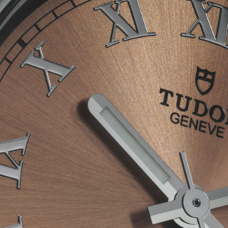 TUDOR 帝舵 皇家系列 38毫米自动上链腕表 M28500-0007