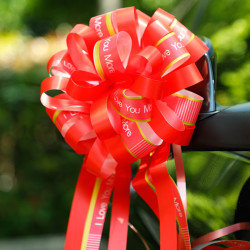 酷依宝婚车拉花结婚手拉花婚车后视镜把手装饰花球蝴蝶结丝带彩带扎花