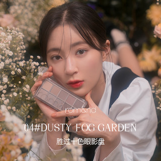 romand眼影十色眼影盘哑光珠光学生易上色不飞粉新款 00#LIGHT & GLITTER GARDEN 银河花园