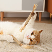 猫玩具自嗨解闷神器木天蓼磨牙棒耐咬羽毛逗猫棒猫咪宠物用品大全