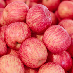 京东生鲜 莓梨婆娘 山东烟台红富士苹果 5斤装果径75-80mm