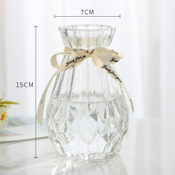 创意花瓶玻璃透明水养客厅摆件 15cm