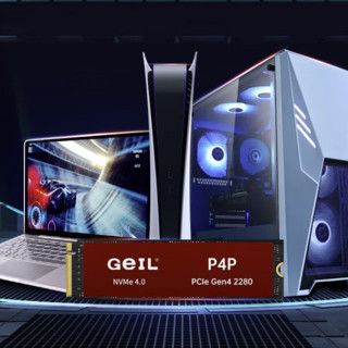 GeIL 金邦 P4P NVMe M.2 固态硬盘（PCI-E4.0）
