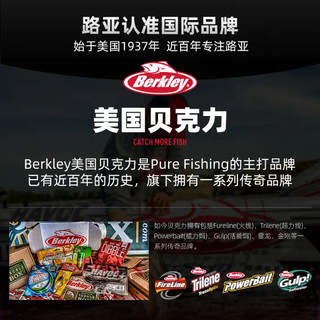 Berkley 贝克力（BERKLEY） 雷龙纺车轮路亚远投渔轮微物路亚轮金属线杯海钓鱼线轮矶钓轮 远投2000H