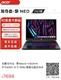 acer 宏碁 掠夺者·擎Neo i5-13500HX RTX4060 16寸 2.5K 165hz高刷电竞游戏本　