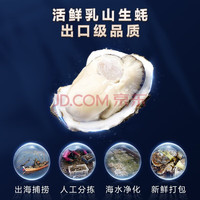 桃李村 乳山鲜活生蚝9斤（2-3两/只）