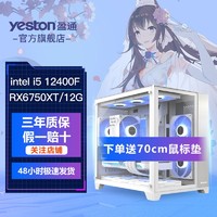 yeston 盈通 i5 12400F/RX6750XT高配电竞吃鸡游戏diy新台式电脑组装主机