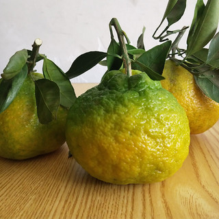 果仙享 国产新鲜丑橘桔子橘子大果  新鲜水果 4.5斤