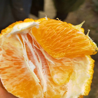 果仙享 国产新鲜丑橘桔子橘子大果  新鲜水果 4.5斤