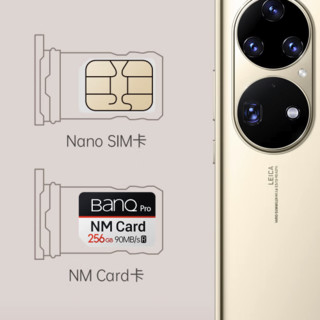 BanQ PRO专业版 NM存储卡 256GB