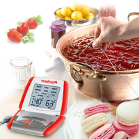 mastrad 法国mastrad玛斯特 烤箱食物温度计 烘焙家用耐高温探针式糖浆烘焙温度计