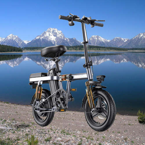 普莱德 G11-4 电动自行车