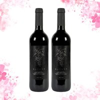 PASTOR 爱神干红葡萄酒750ml*2支装 西班牙进口红酒