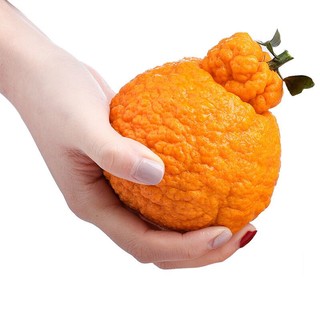 PLUS会员：正宗丑橘不知火 8斤特大果（85mm以上）