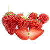 筱诺 红颜奶油草莓甜草莓新鲜现摘草莓 中果 3斤装 新鲜水果