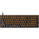 有券的上：RAPOO 雷柏 V500PRO-100 100键 有线机械键盘 黑色 茶轴 单光