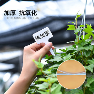 园艺多肉标签牌园艺植物花名花盆塑料标签防水小插牌多肉盆栽标签