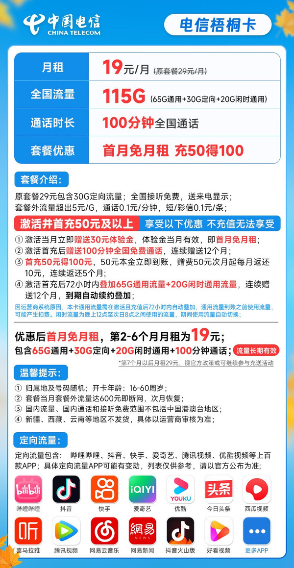 CHINA TELECOM 中国电信 梧桐卡 19元月租（115G全国流量+100分钟）流量长期 激活赠送30元