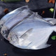国产新鲜银鲳鱼 鲜活速冻  银鲳鱼 6斤（36-48条）